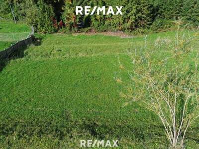 Grundstück kaufen in 4853 Steinbach (Bild 1)