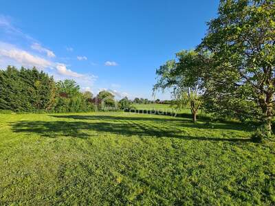 Grundstück kaufen in 7091 Breitenbrunn (Bild 1)