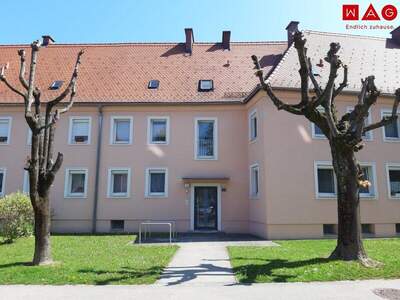 Mietwohnung in 4400 Steyr (Bild 1)