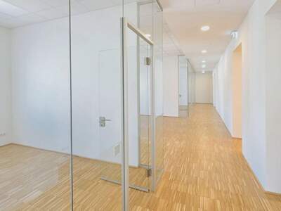 Gewerbeobjekt mieten in 1010 Wien (Bild 4)