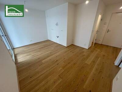 Terrassenwohnung kaufen in 1220 Wien (Bild 3)