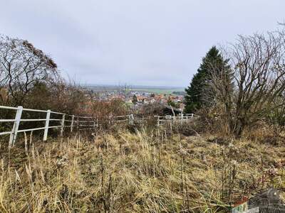 Haus mit Garten kaufen in 3433 Königstetten (Bild 4)