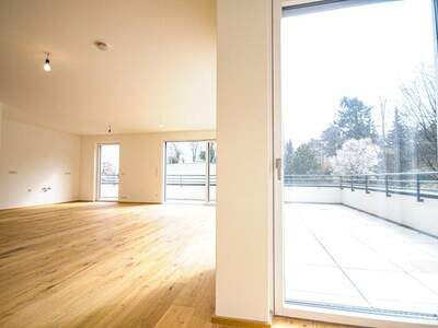 Terrassenwohnung kaufen in 1190 Wien (Bild 5)