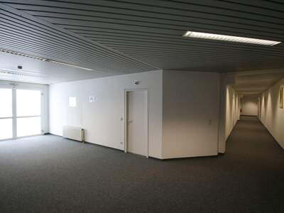 Gewerbeobjekt mieten in 5300 Hallwang (Bild 4)