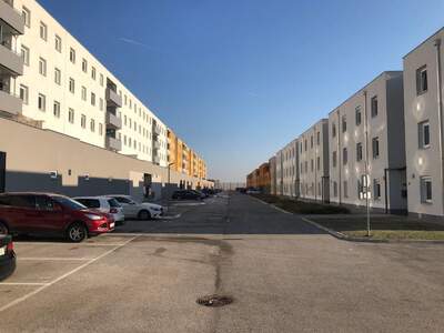 Wohnung mieten in 2700 Wiener Neustadt (Bild 2)
