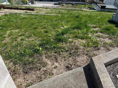 Grundstück provisionsfrei kaufen in 7223 Sieggraben