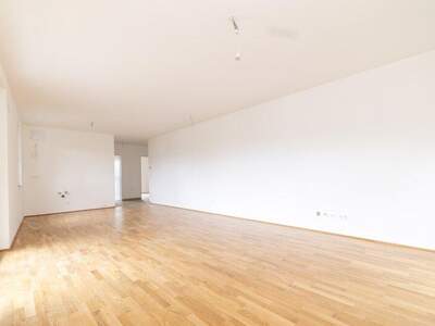 Terrassenwohnung kaufen in 2700 Wr. Neustadt (Bild 5)