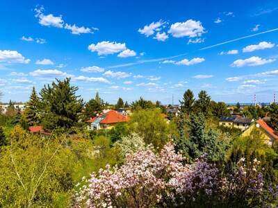 Anlageobjekt kaufen in 1100 Wien