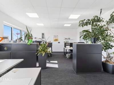 Gewerbeobjekt mieten in 4060 Leonding (Bild 4)