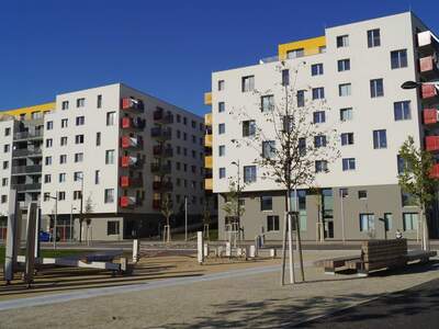 Einzelhandel mieten in 1220 Wien (Bild 4)
