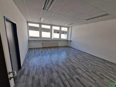 Gewerbeobjekt mieten in 1210 Wien (Bild 2)