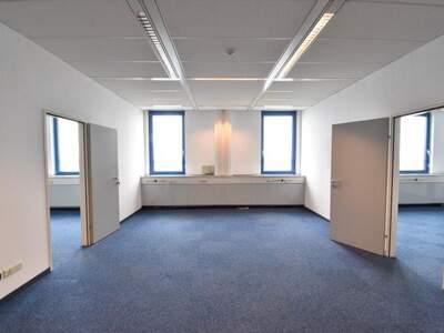 Büro / Praxis mieten in 2351 Wr. Neudorf (Bild 1)