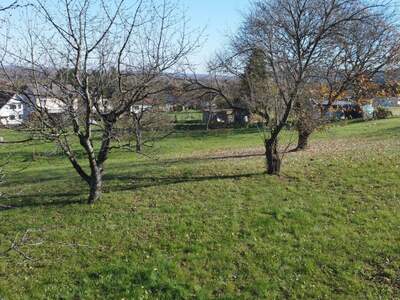 Grundstück kaufen in 7540 Güssing