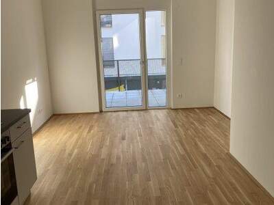 Terrassenwohnung mieten in 1220 Wien (Bild 2)