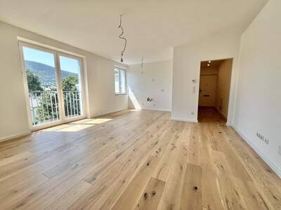 Anlageobjekt kaufen in 2371 Hinterbrühl