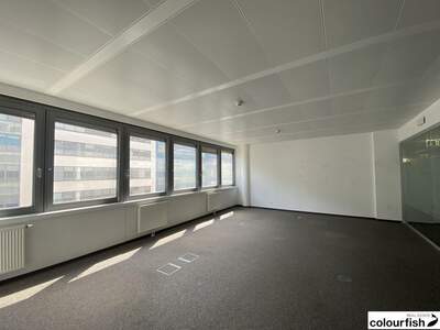 Gewerbeobjekt mieten in 1020 Wien (Bild 4)