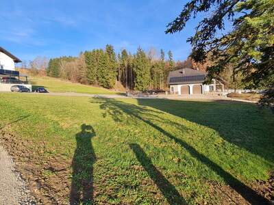 Grundstück kaufen in 4441 Behamberg (Bild 1)