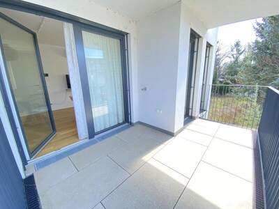 Terrassenwohnung mieten in 1220 Wien (Bild 2)