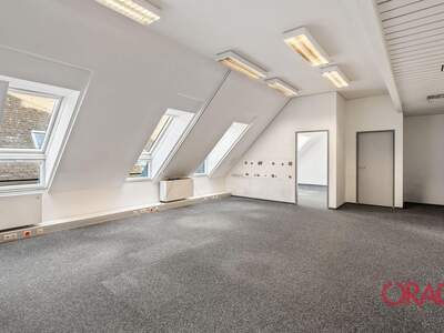 Gewerbeobjekt mieten in 1060 Wien (Bild 5)