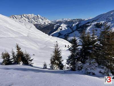 Gewerbeobjekt kaufen in 5760 Saalfelden