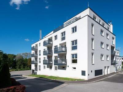 Wohnung mieten in 2410 Hainburg (Bild 1)