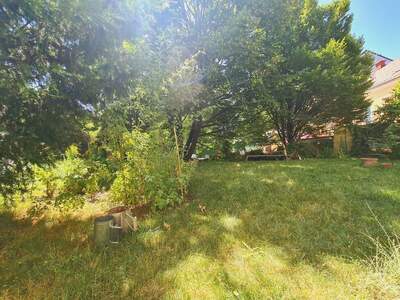 Altbauwohnung mit Balkon kaufen in 1130 Wien (Bild 1)