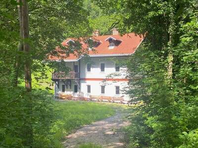 Haus kaufen in 2650 Payerbach