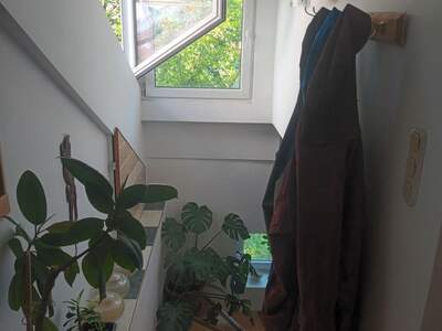 Apartment provisionsfrei mieten in 1180 Wien