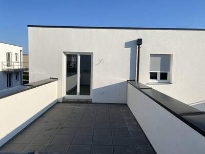 Wohnung mieten in 3451 Pixendorf