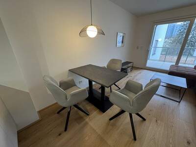 Terrassenwohnung mieten in 1210 Wien (Bild 4)