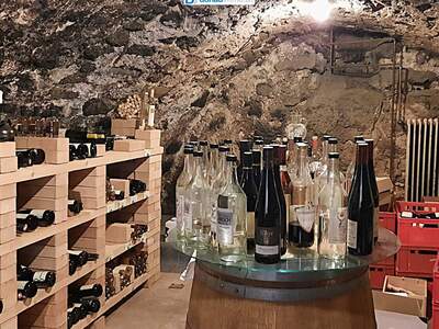 Gewerbeobjekt kaufen in 3920 Groß Gerungs (Bild 5)