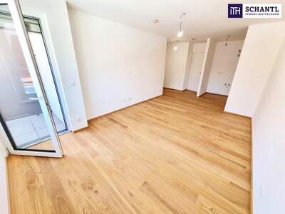 Terrassenwohnung kaufen in 1230 Wien (Bild 1)