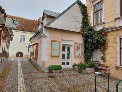 Einzelhandel kaufen in 2340 Mödling (Bild 1)