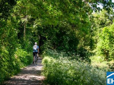 Wohnung kaufen in 1230 Wien (Bild 4)