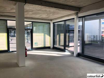 Gewerbeobjekt mieten in 2344 Maria Enzersdorf (Bild 2)