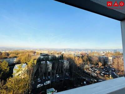 Terrassenwohnung mieten in 4020 Linz (Bild 2)