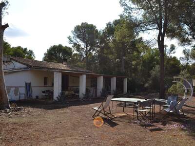 Immobilie kaufen in 7620 Llucmajor (Bild 3)