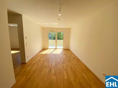 Terrassenwohnung mieten in 1110 Wien (Bild 3)