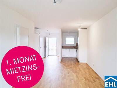 Terrassenwohnung mieten in 8020 Graz (Bild 1)