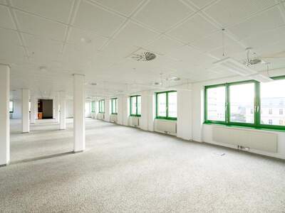 Gewerbeobjekt mieten in 1220 Wien (Bild 5)