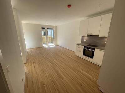 Wohnung kaufen in 1220 Wien