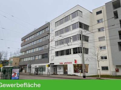 Gewerbeobjekt mieten in 8020 Graz