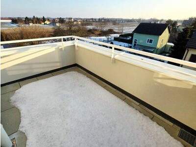 Terrassenwohnung kaufen in 1220 Wien (Bild 4)