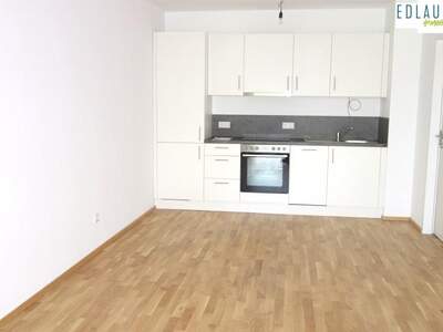 Terrassenwohnung mieten in 2500 Baden (Bild 3)