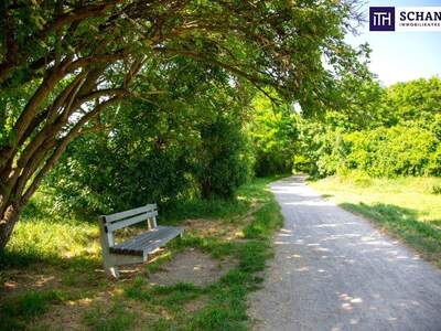 Terrassenwohnung kaufen in 1210 Wien (Bild 5)