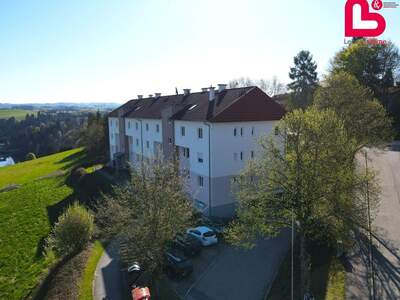 Wohnung mieten in 4120 Neufelden (Bild 2)