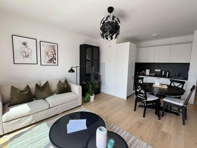 Terrassenwohnung kaufen in 1210 Wien (Bild 3)