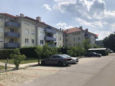 Apartment provisionsfrei mieten in 2563 Niederösterreich