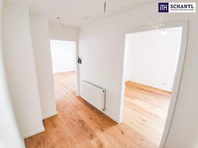 Terrassenwohnung kaufen in 1110 Wien (Bild 3)