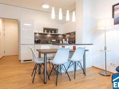 Terrassenwohnung mieten in 1030 Wien (Bild 4)